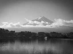 2026 regional monochrome IP